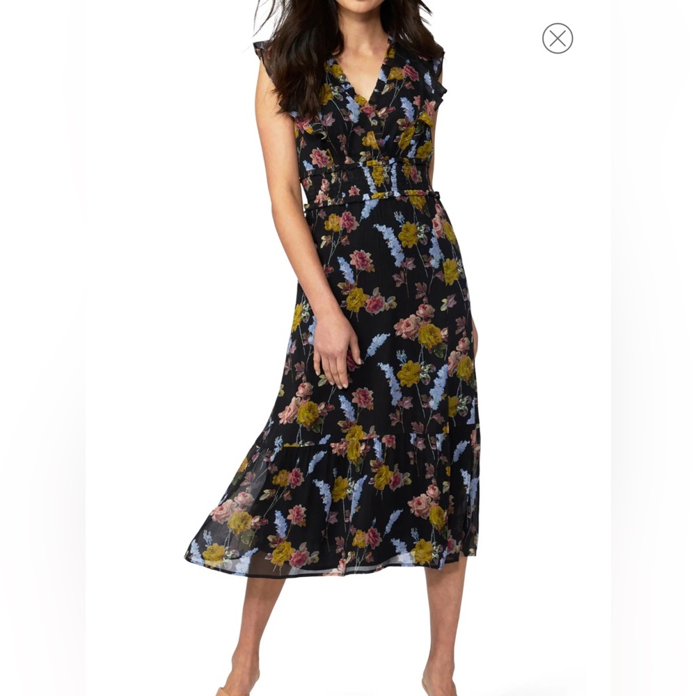 Paige Katharina Sleeveless Silk Chiffon Dress